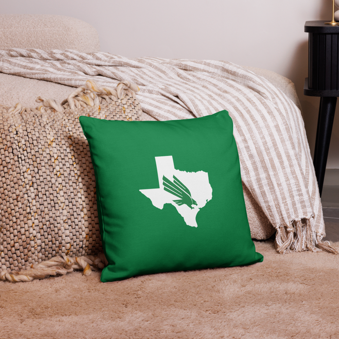 University of North Texas Pillow Case