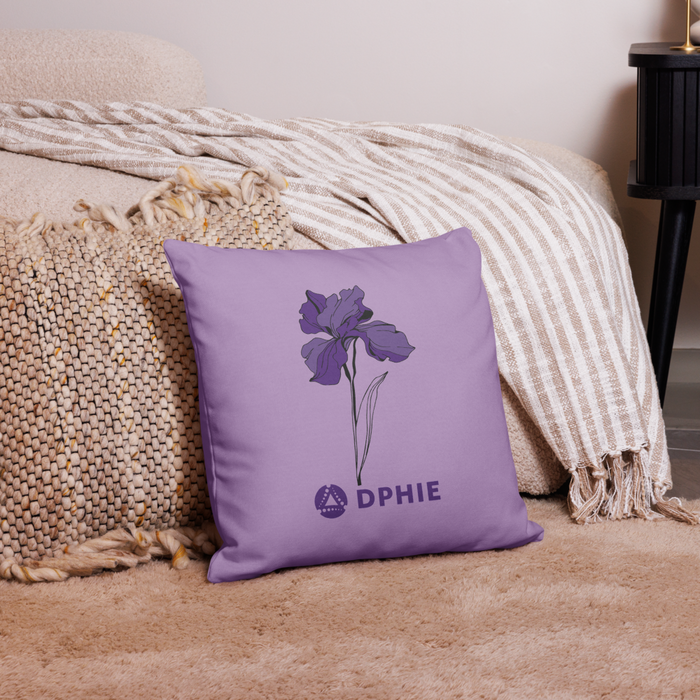 Delta Phi Epsilon Pillow Case