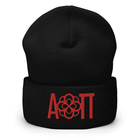 Alpha Omicron Pi Beanies