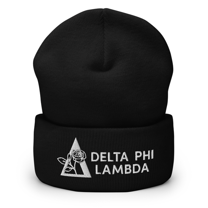 Delta Phi Lambda Beanies