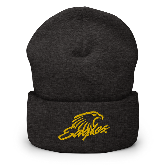 Embry-Riddle Aeronautical University Eagles Beanies