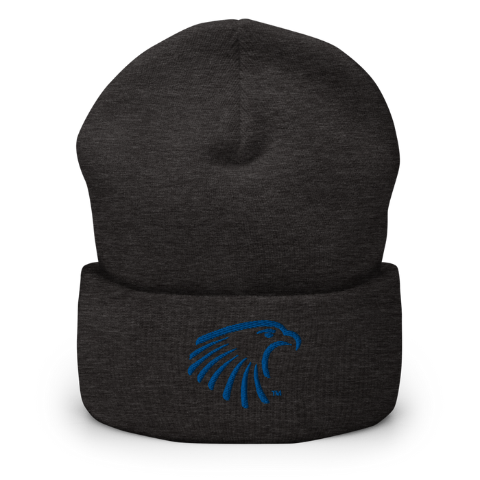 Embry-Riddle Aeronautical University Eagles Beanies