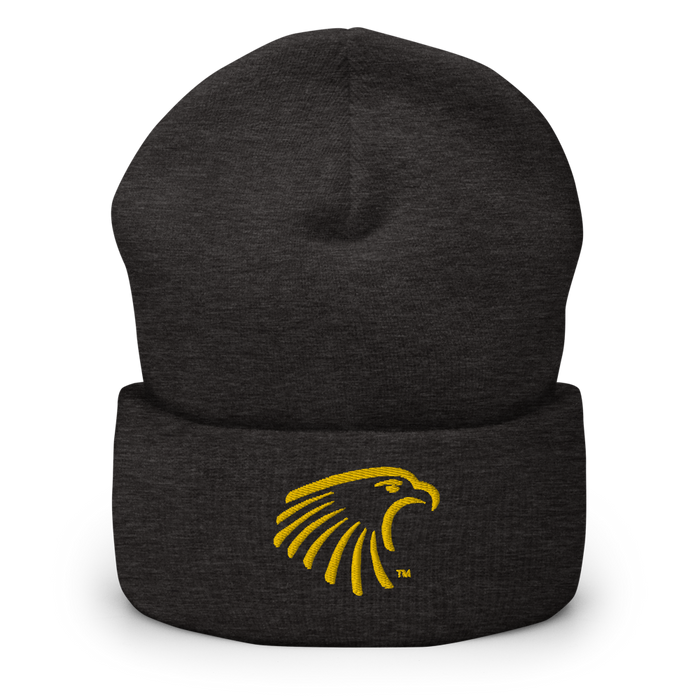 Embry-Riddle Aeronautical University Eagles Beanies