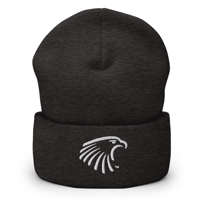 Embry-Riddle Aeronautical University Eagles Beanies