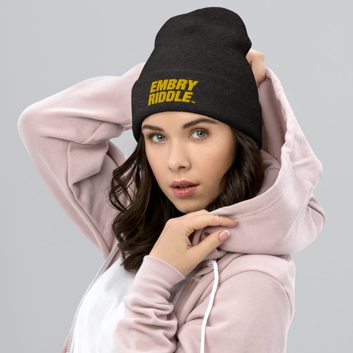 Embry-Riddle Aeronautical University ER Beanies