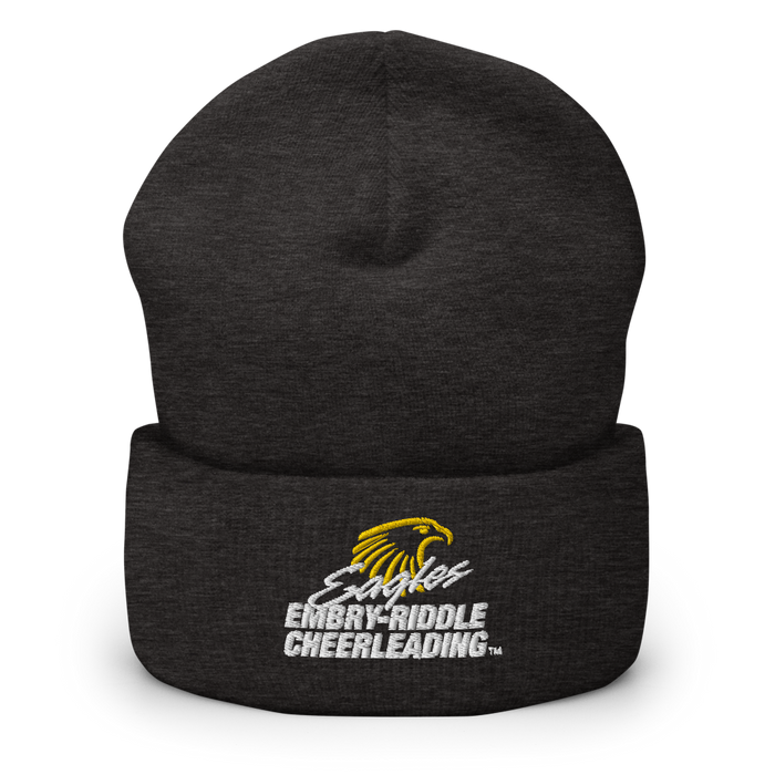 Embry-Riddle Aeronautical University Eagles Sport Beanies