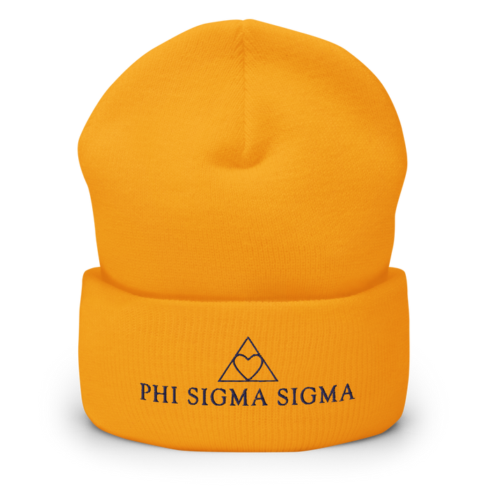 Phi Sigma Sigma Beanies