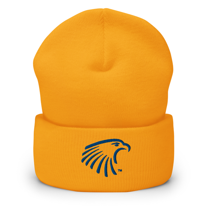 Embry-Riddle Aeronautical University Eagles Beanies