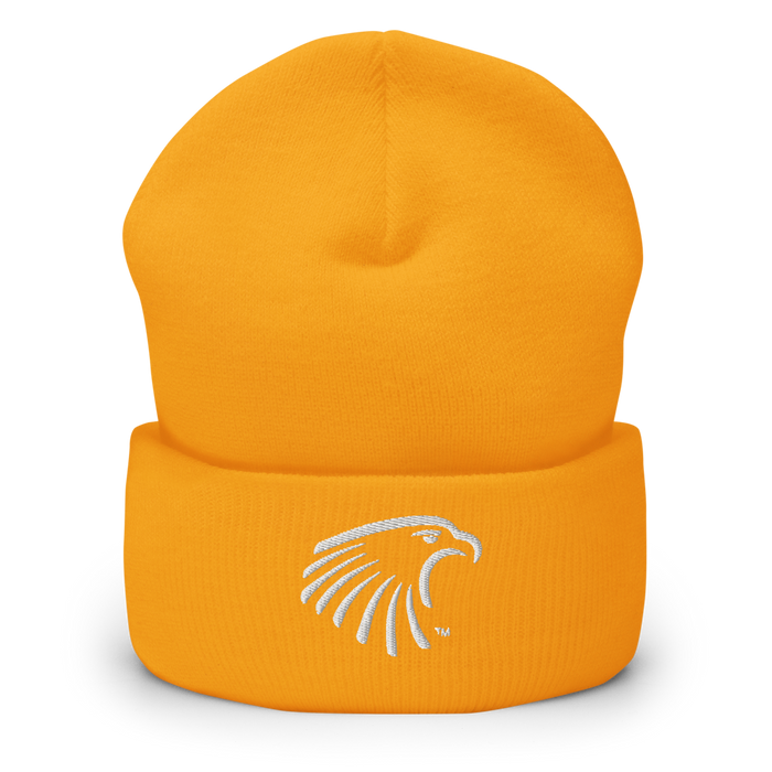 Embry-Riddle Aeronautical University Eagles Beanies