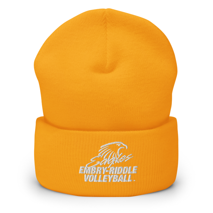 Embry-Riddle Aeronautical University Eagles Sport Beanies