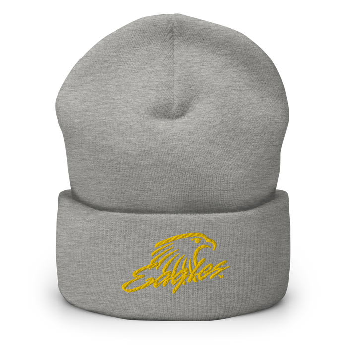 Embry-Riddle Aeronautical University Eagles Beanies