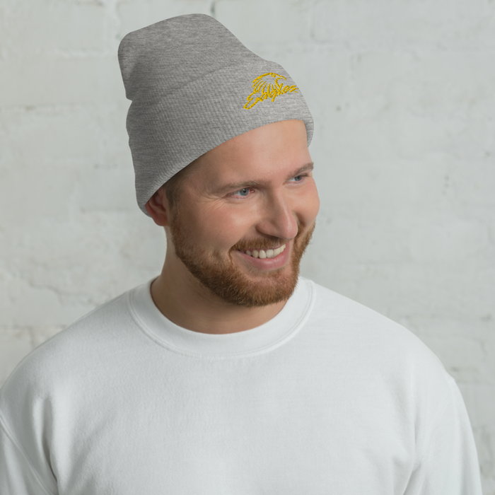 Embry-Riddle Aeronautical University Eagles Beanies