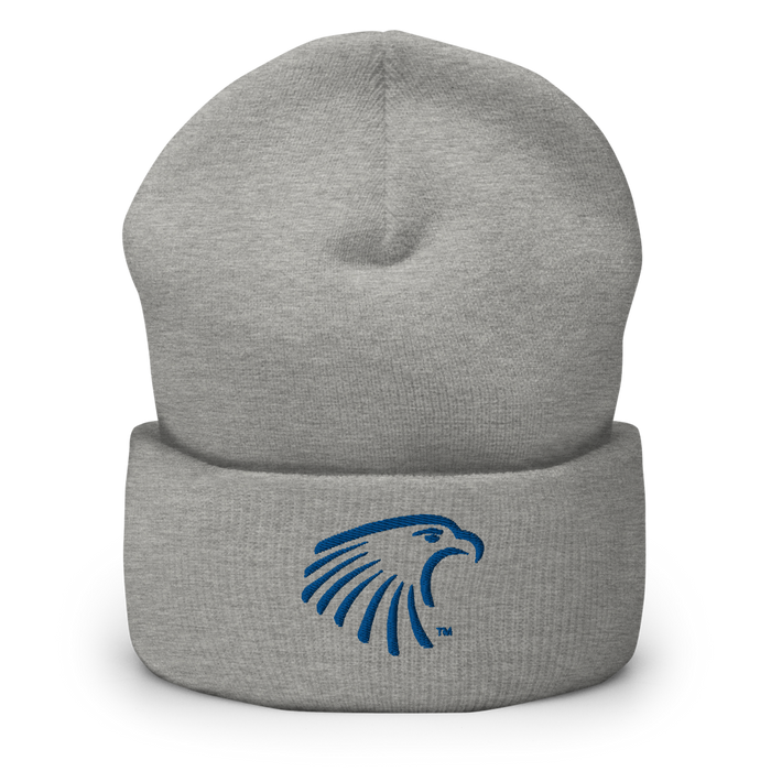 Embry-Riddle Aeronautical University Eagles Beanies