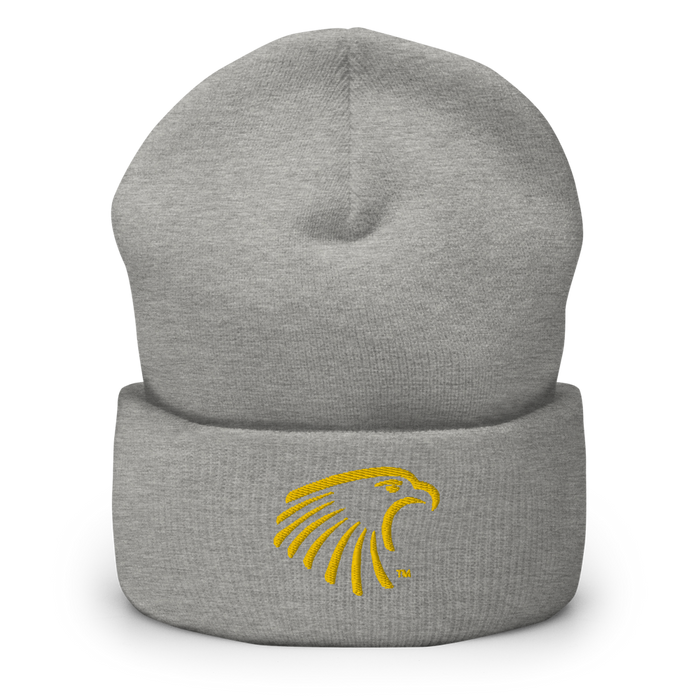 Embry-Riddle Aeronautical University Eagles Beanies