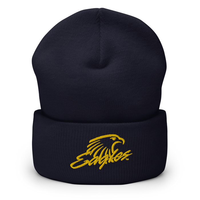 Embry-Riddle Aeronautical University Eagles Beanies