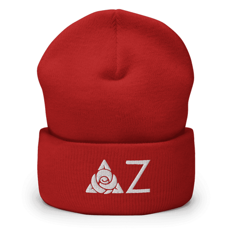Delta Zeta Beanies