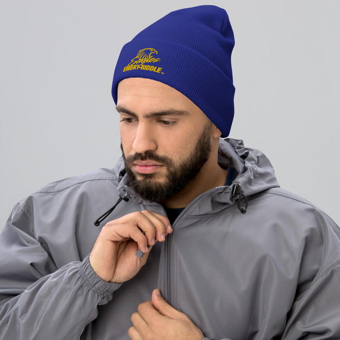 Embry-Riddle Aeronautical University Eagles Beanies