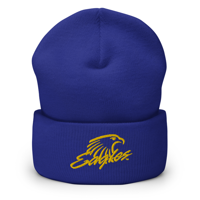 Embry-Riddle Aeronautical University Eagles Beanies