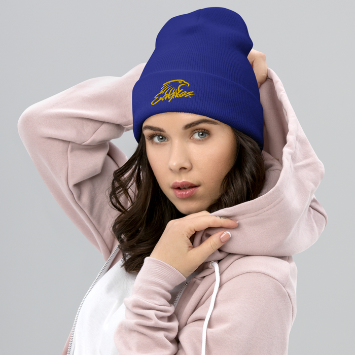 Embry-Riddle Aeronautical University Eagles Beanies