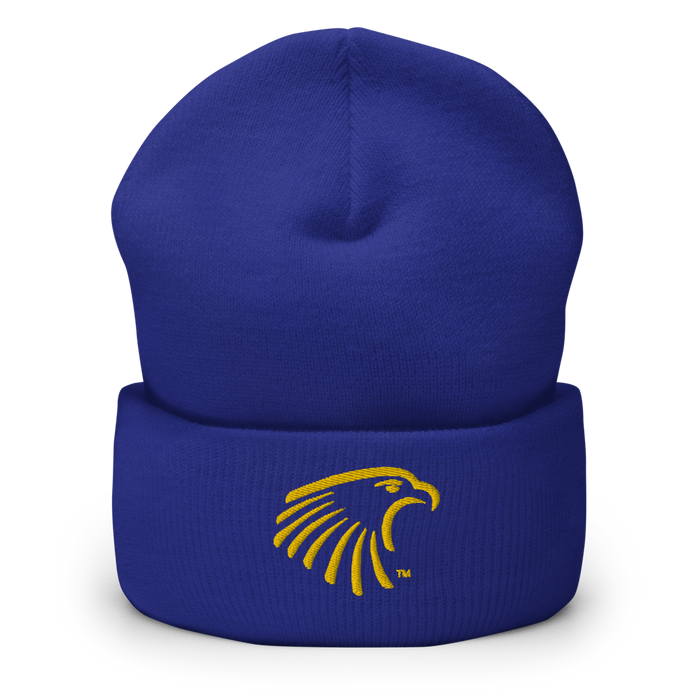 Embry-Riddle Aeronautical University Eagles Beanies