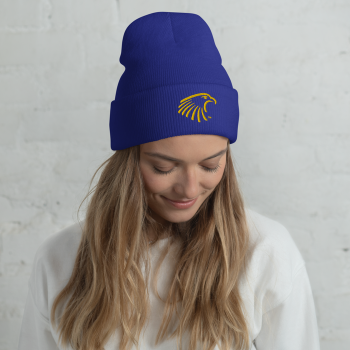 Embry-Riddle Aeronautical University Eagles Beanies