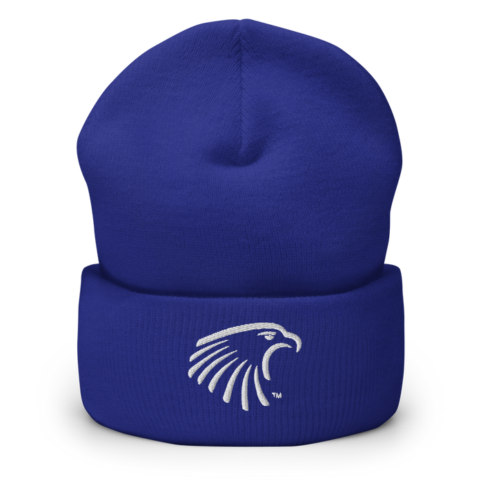 Embry-Riddle Aeronautical University Eagles Beanies