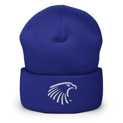 Embry-Riddle Aeronautical University Eagles Classic Dad Hats