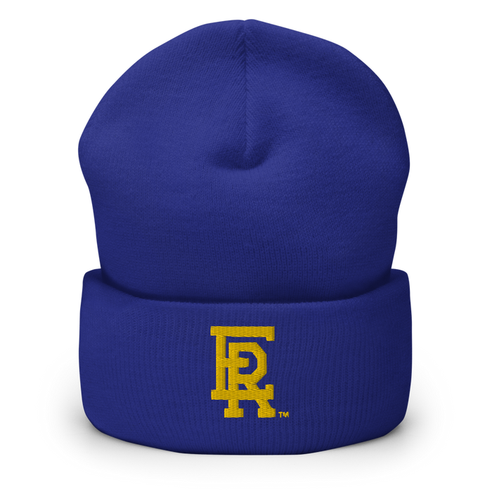 Embry-Riddle Aeronautical University ER Beanies