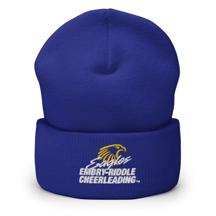 Embry-Riddle Aeronautical University Eagles Sport Beanies