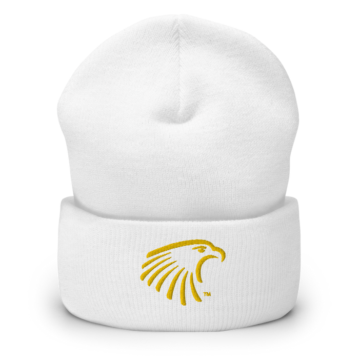 Embry-Riddle Aeronautical University Eagles Beanies