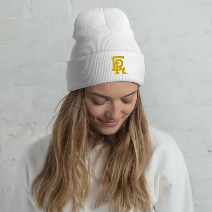 Embry-Riddle Aeronautical University ER Beanies