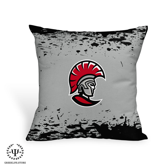 University of Tampa Pillow Case