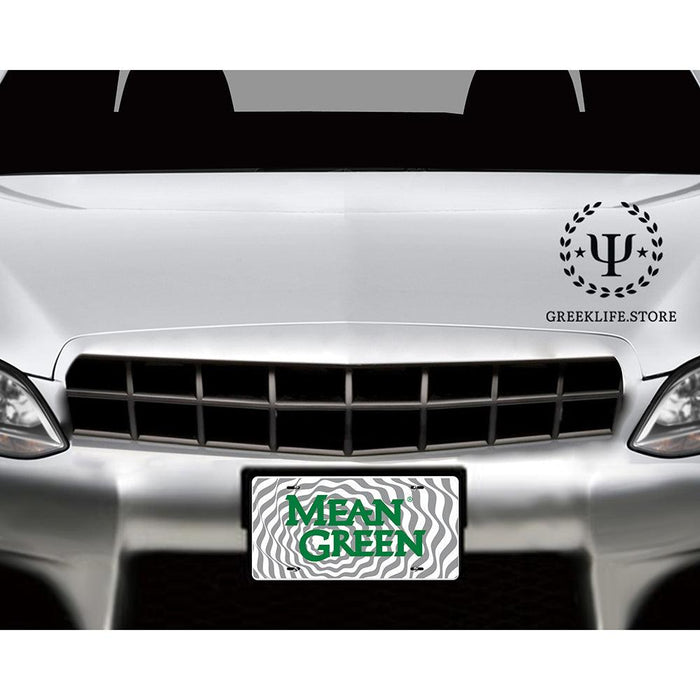 University of North Texas Decorative License Plate