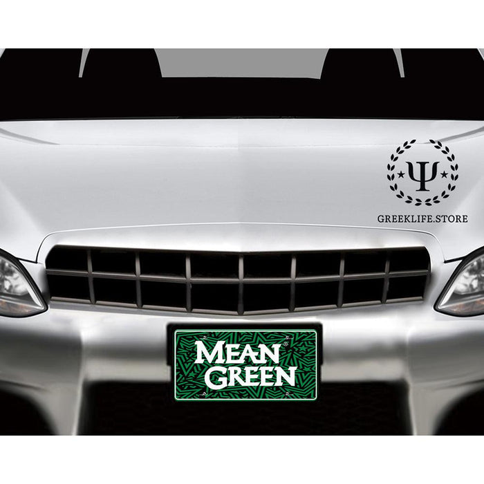 University of North Texas Decorative License Plate