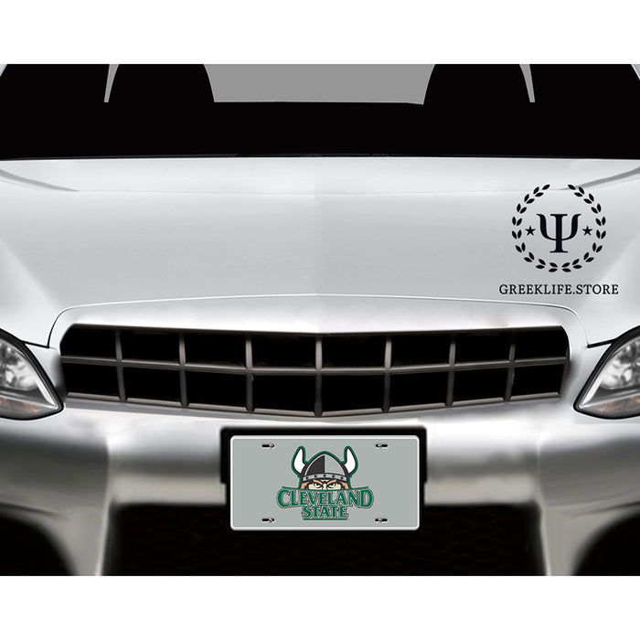 Cleveland State University Decorative License Plate