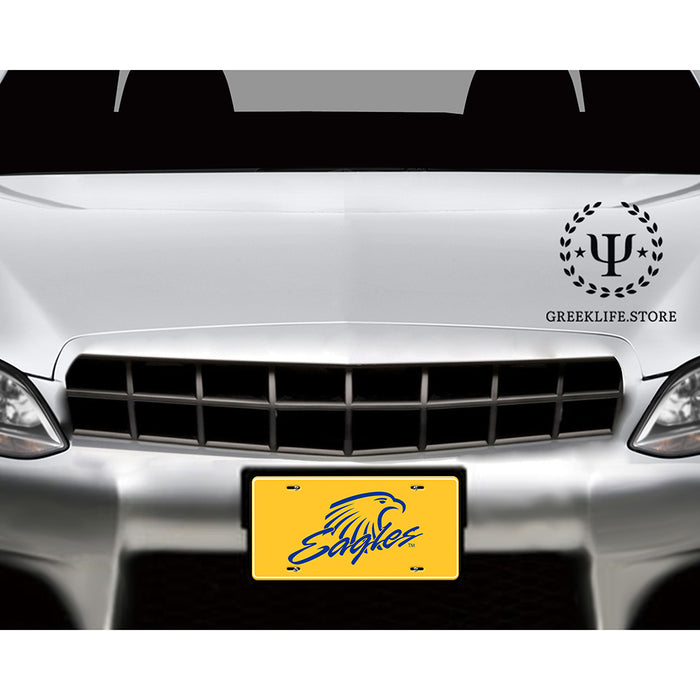 Embry-Riddle Aeronautical University Eagles Sport Decorative License Plate