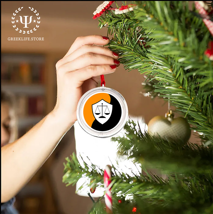 Phi Mu Delta Christmas Reversible Flat Round Ornament