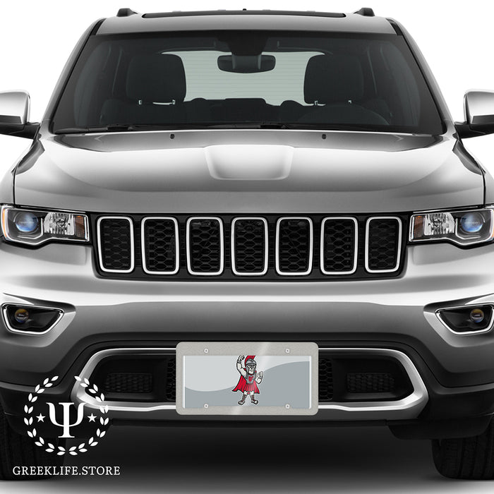 University of Tampa Decorative License Plate