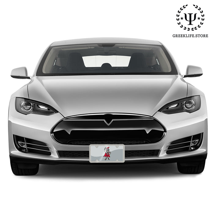 University of Tampa Decorative License Plate