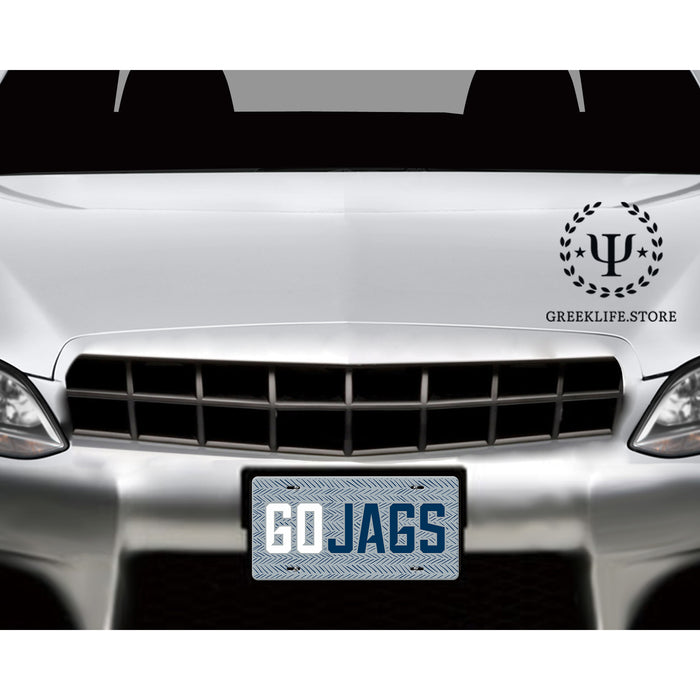 Augusta University Decorative License Plate