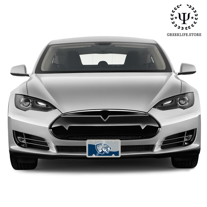 Augusta University Decorative License Plate
