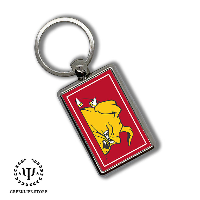 Ferris State University Keychain Rectangular