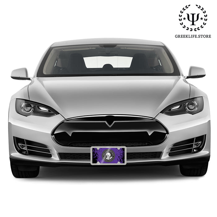 Sigma Phi Epsilon Decorative License Plate