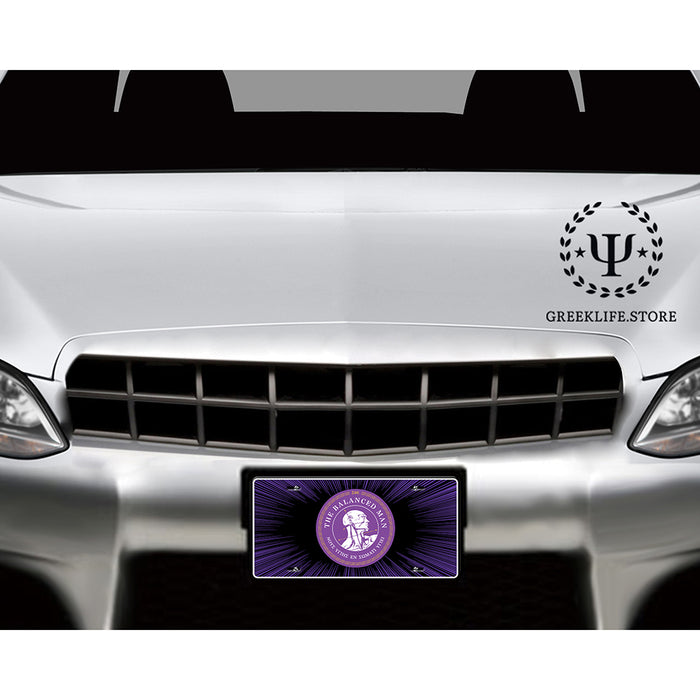 Sigma Phi Epsilon Decorative License Plate