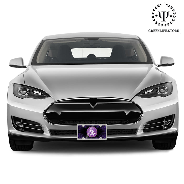 Sigma Phi Epsilon Decorative License Plate