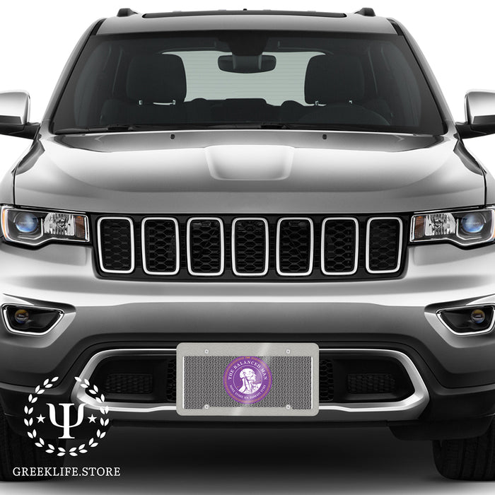 Sigma Phi Epsilon Decorative License Plate