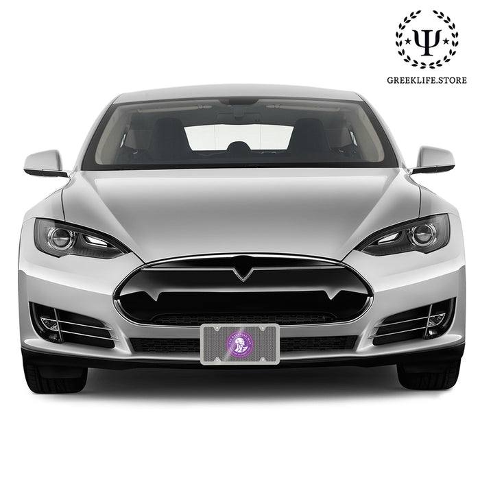 Sigma Phi Epsilon Decorative License Plate