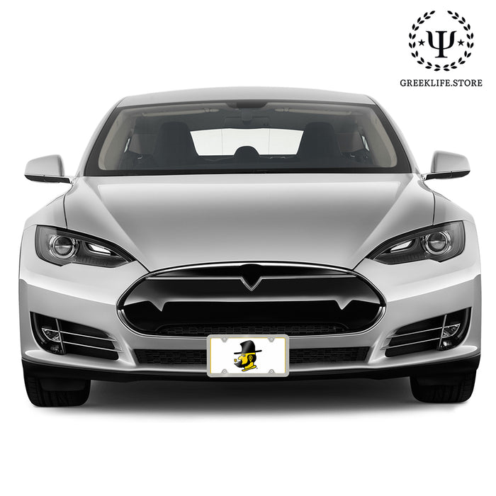 Appalachian State University Decorative License Plate