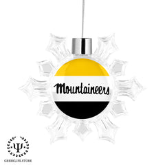 Appalachian State University Beverage Coasters Round (Set of 4)