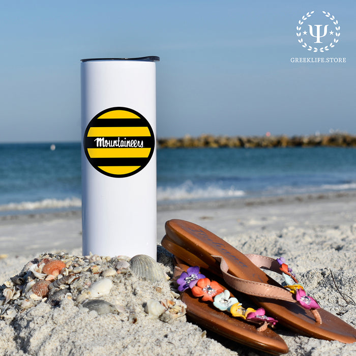 Appalachian State University Stainless Steel Skinny Tumbler 20 OZ